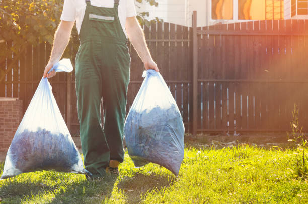 Best Junk Hauling Services  in Wayland, MI